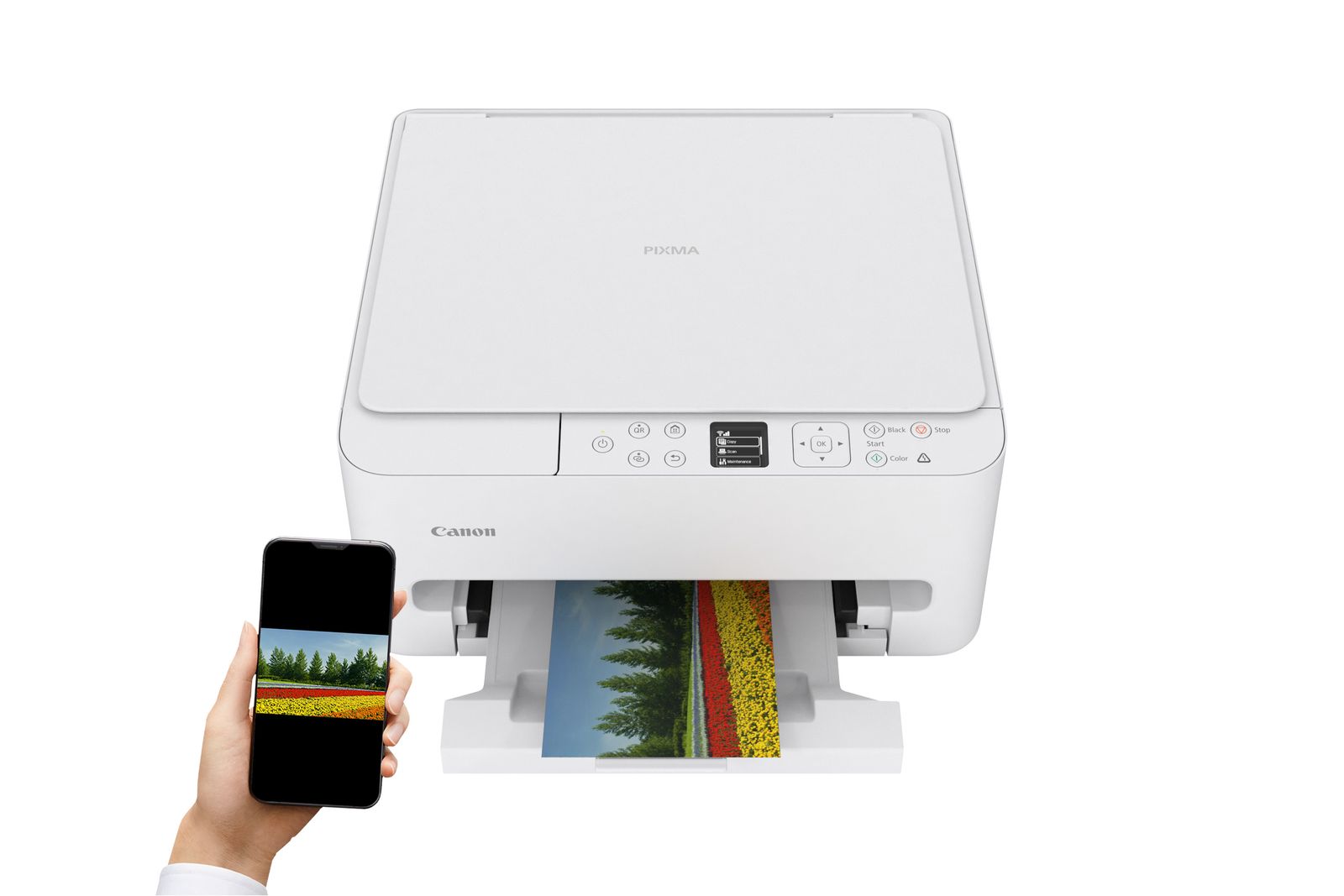 Canon PIXMA TS6550i WHITE