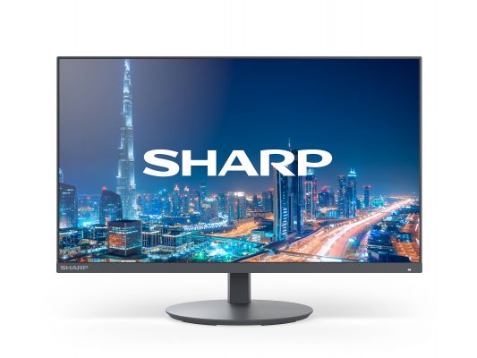 SHARP MultiSync DD-E224F