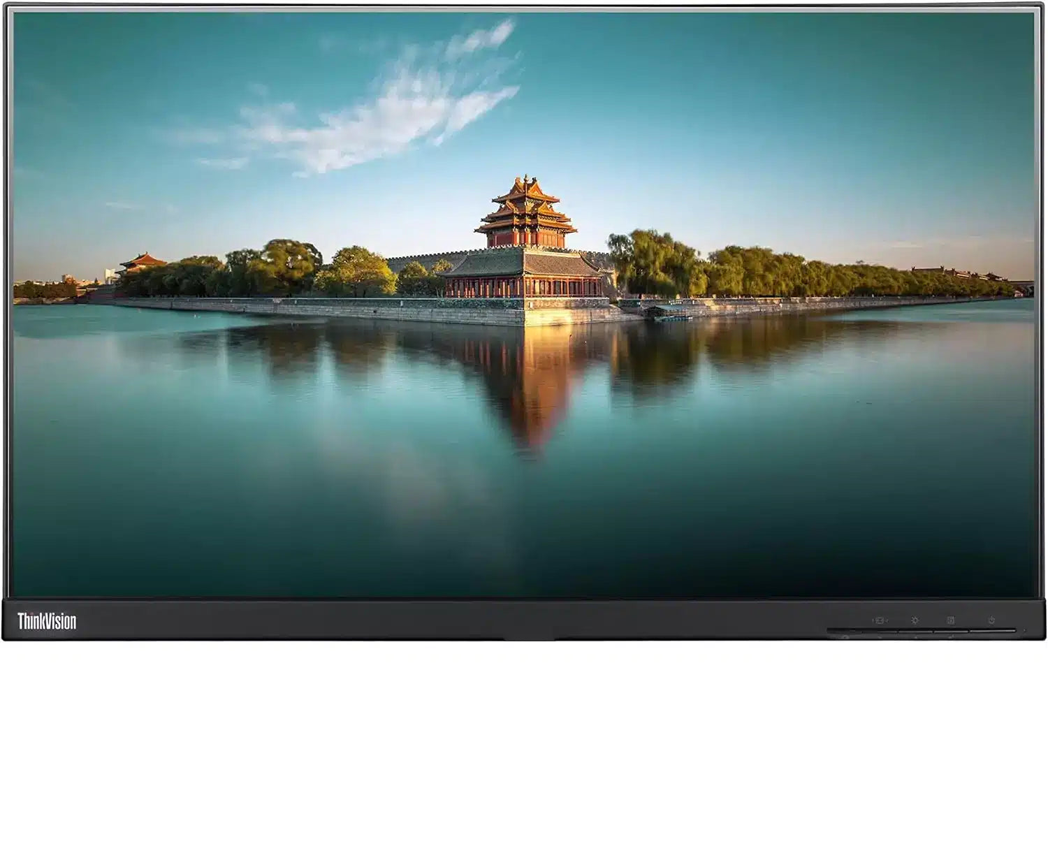 Lenovo ThinkVision T24i 24" FullHD Dual Monitor Bundle with Adjustable Arm Stand VGA HDMI Display Port - Efficiency and Visual Comfort