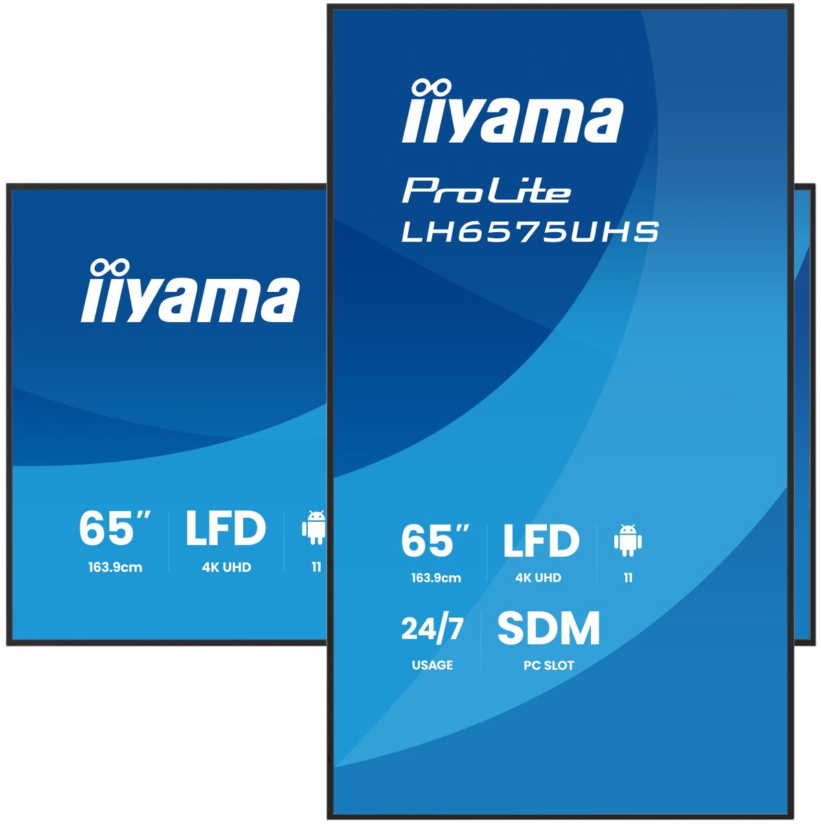 IIYAMA 65 LCD UHD, SDM-L