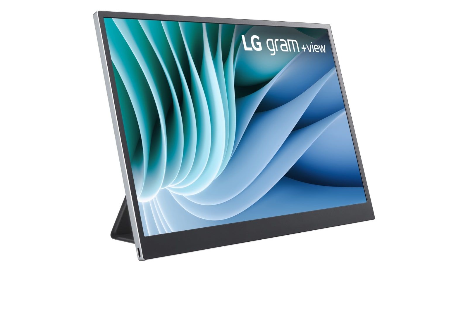 LG ELECTRONICS Monitor Portatile da 16