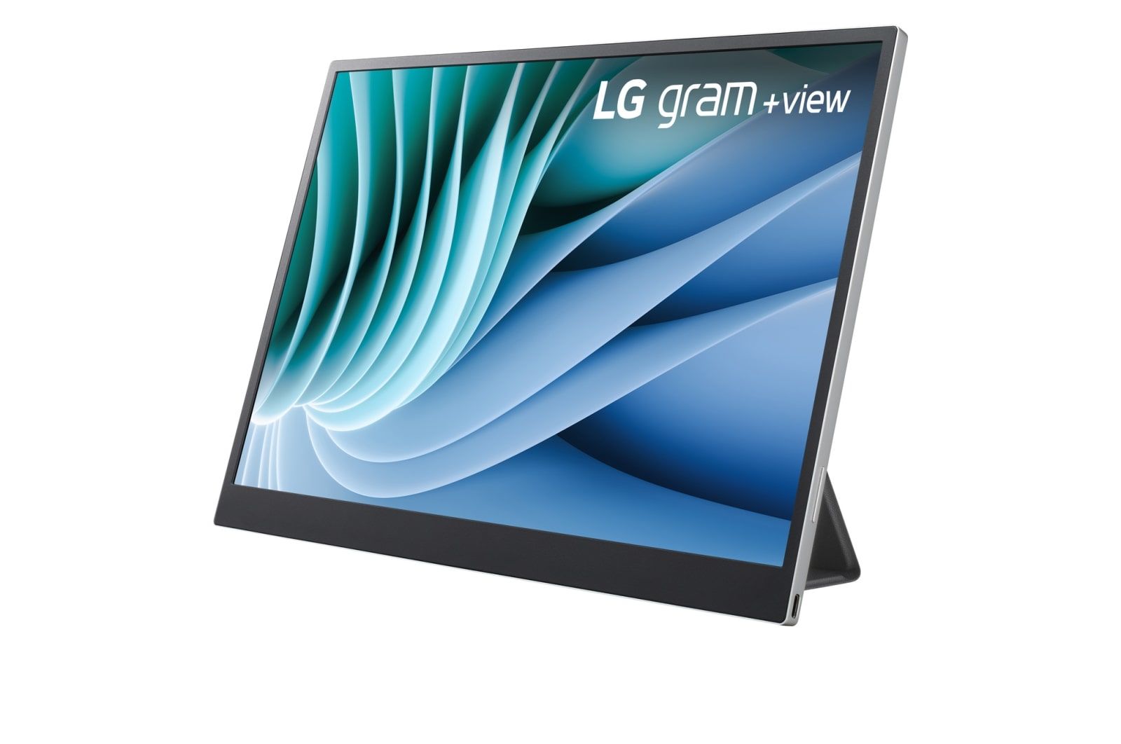 LG ELECTRONICS Monitor Portatile da 16