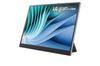 LG ELECTRONICS Monitor Portatile da 16