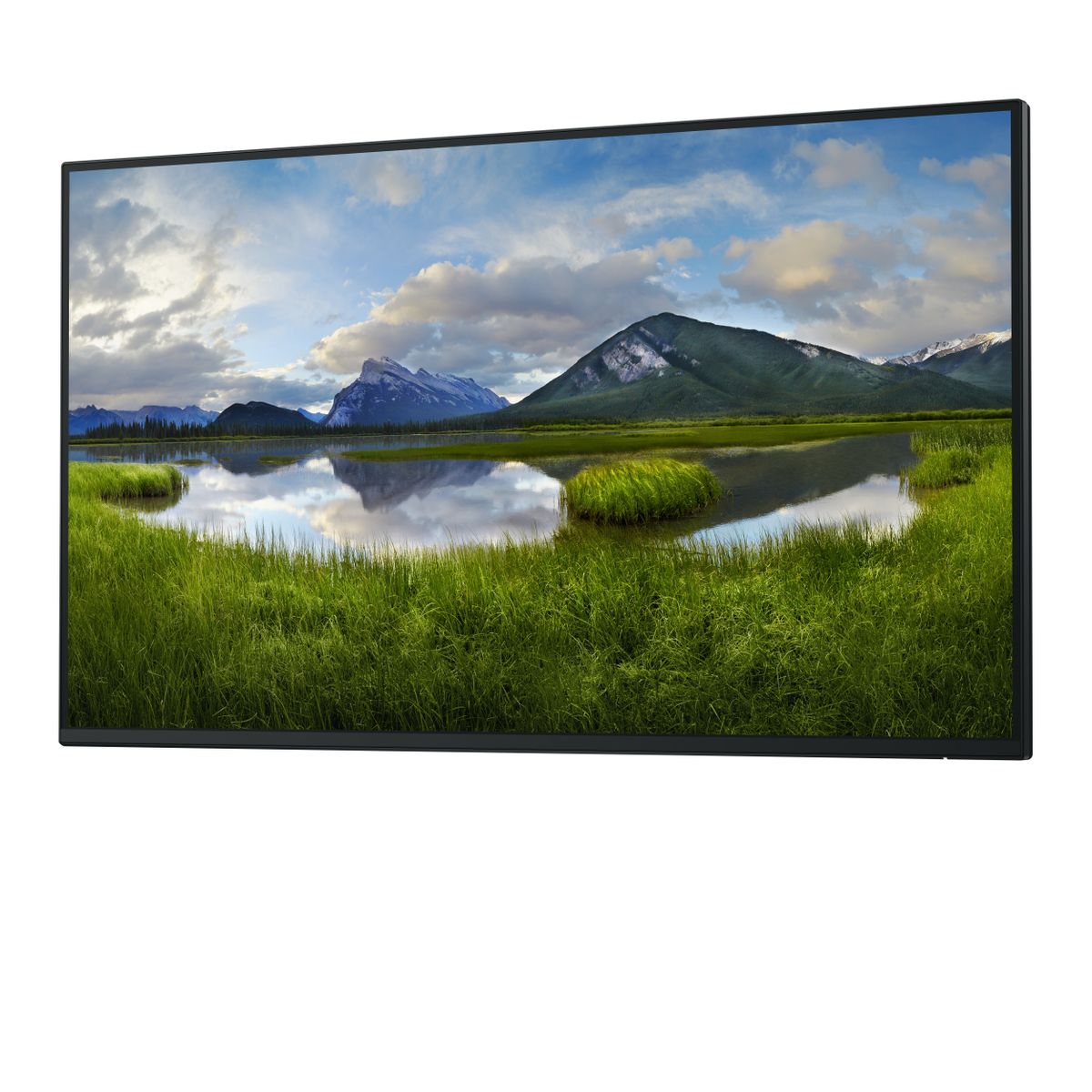 DELL DELL 27 MONITOR P2725H WITHOUT STAND