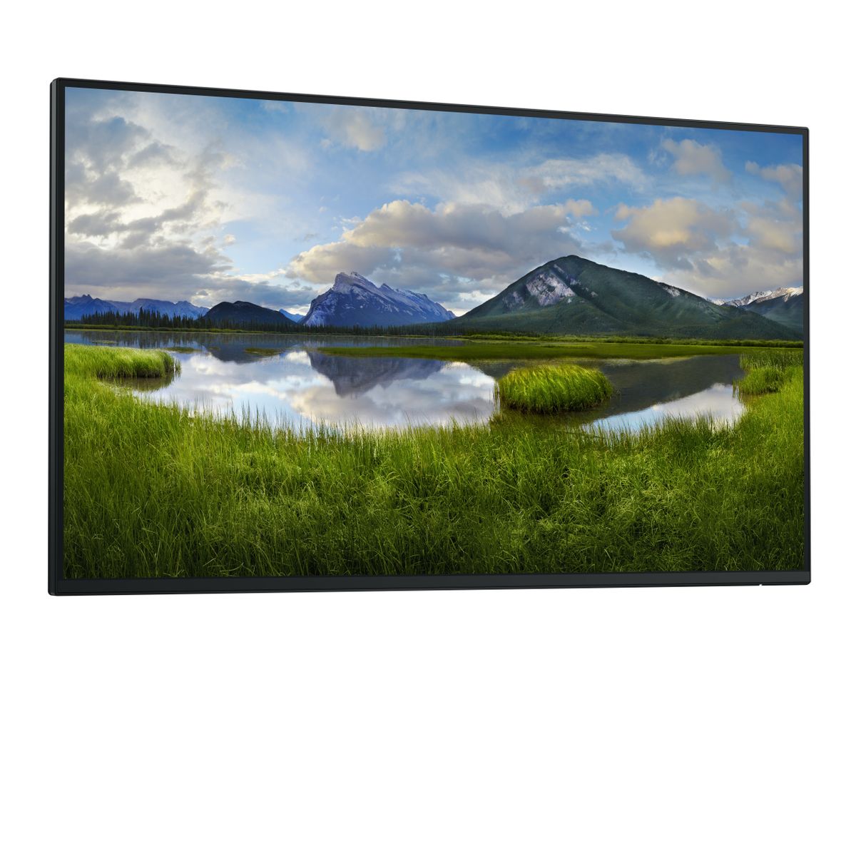 DELL DELL 27 MONITOR P2725H WITHOUT STAND