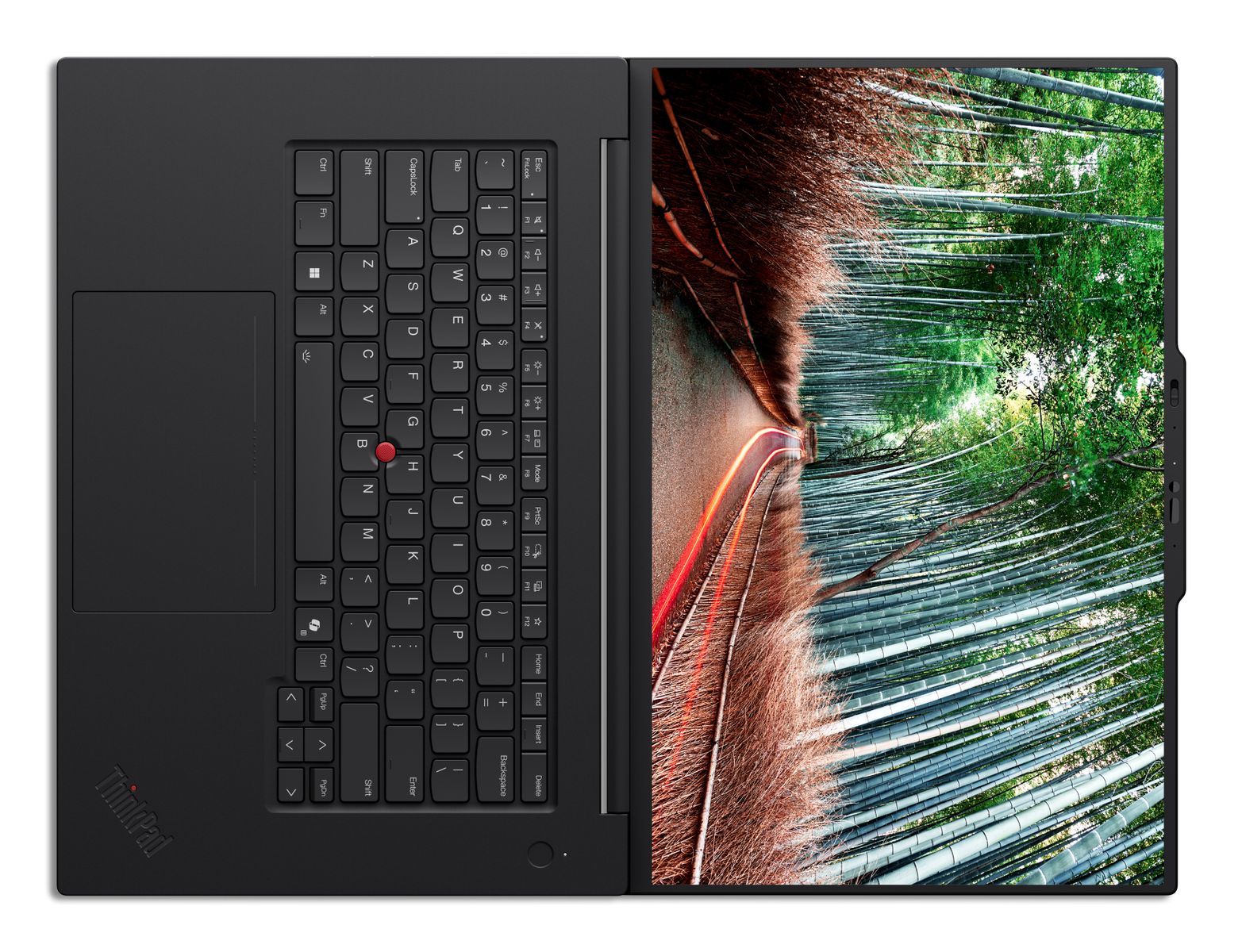 LENOVO TS T1G ULT7-255H 32GB 1TB RTX5060 16WUXGA W11P 3YP