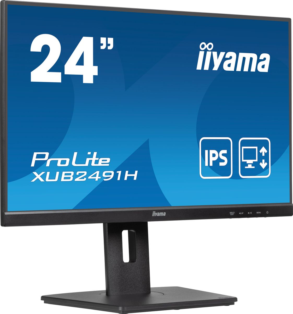 IIYAMA 23,8 IPS, 1920x1080/100Hz, 1H1DP, HAS