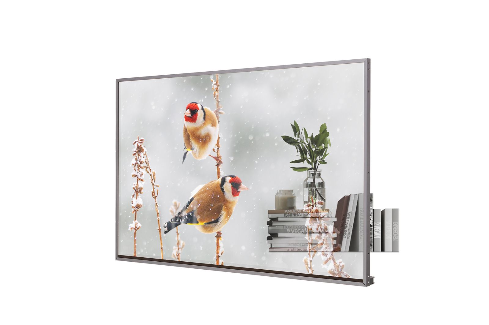 LG ELECTRONICS 55 OLED, 1920X1080, 16:9