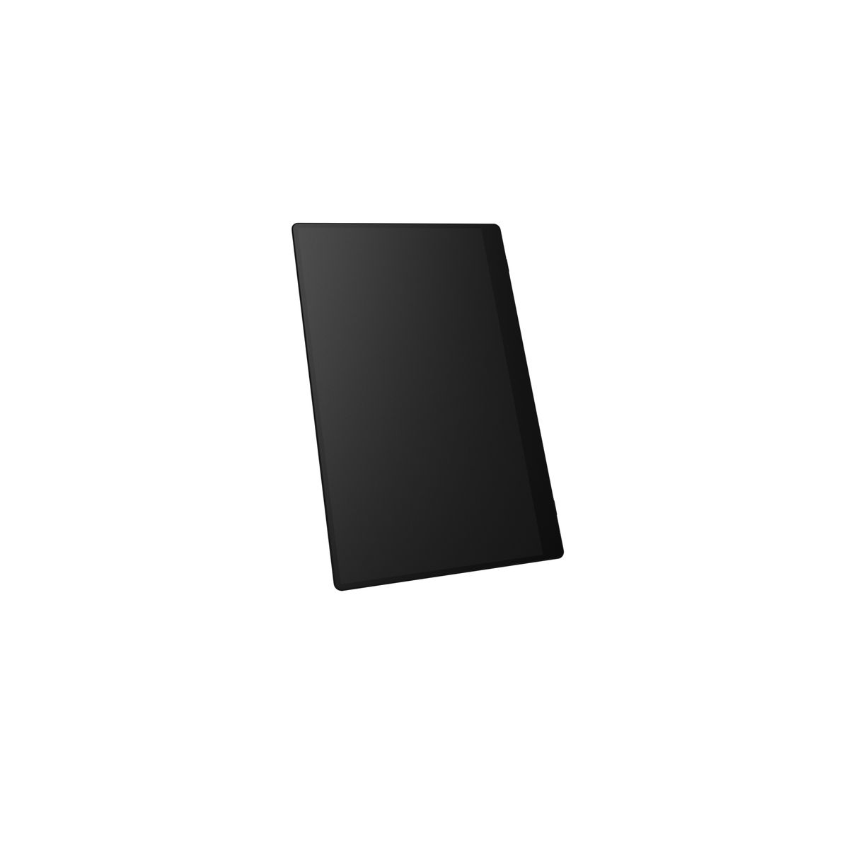 RICOH MONITOR PORTATILE RICOH 150BW WIFI