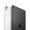 APPLE IPAD PRO 11 WI-FI 256GB STANDARD GLASS SILVER