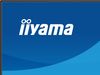 IIYAMA 27 QHD IPS