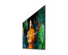 SAMSUNG MONITOR SAMSUNG QM43C 43