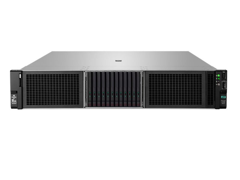 HPE DL380 G11 4510 64G 8SFF HDD SVR WS25