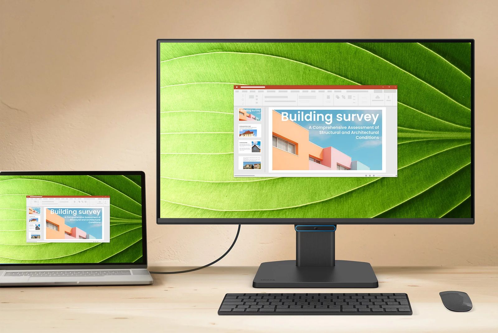 BenQ 24, IPS,1920x1080 250cd/m