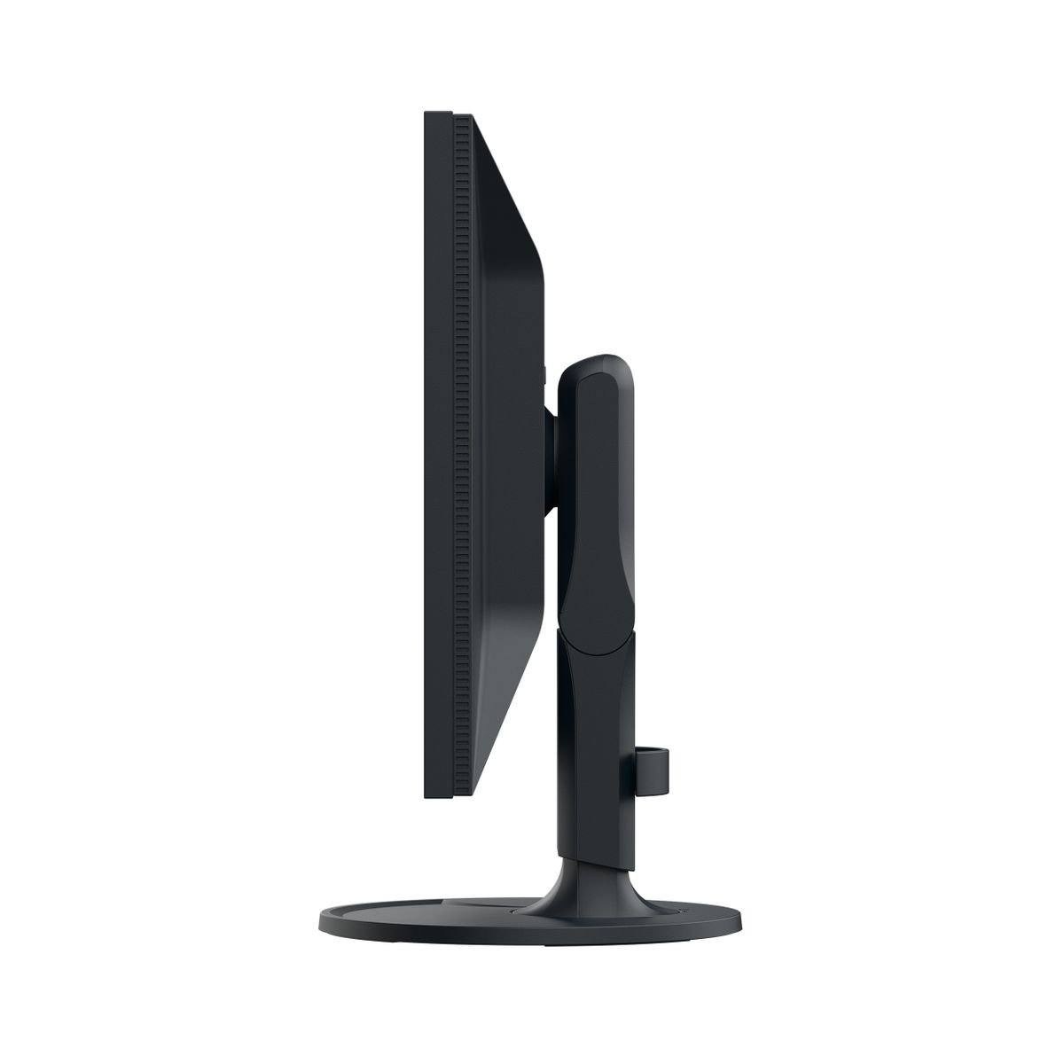 EIZO 24 , 16:10, 1920X1200, IPS LCD, 5Y WARRANTY