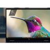 HP INC. XG2I FLIP UX7-358H 14TOLED 32/1 W11P 3YOFF BLUE