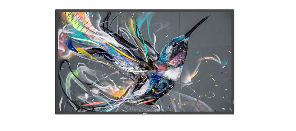 PHILIPS 65 Q-LINE 18/7, 4K UHD